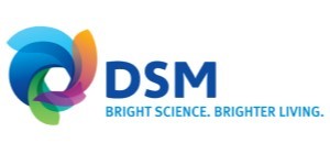 DSM