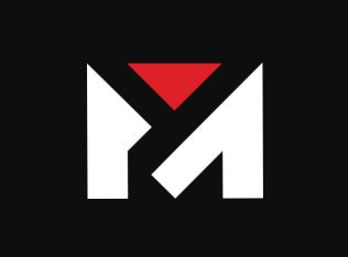 VISION MINER