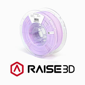 Filament Raise3D Industrial PPA Support