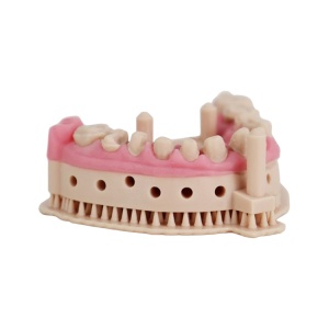 liqcreate-dental-model-pro