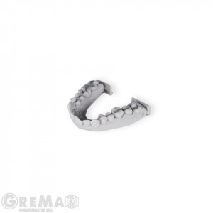 Rășină Rayshape Model1 - Img 3