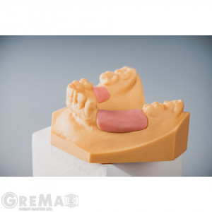Rășină Rayshape Soft Pink - Img 3