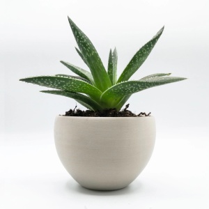 Filament Recreus Filaflex Purifier