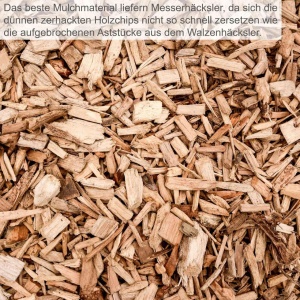 Scheppach seckalica za grane GS55 2400W - Img 10