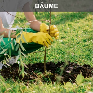 bušač zemlje sa 3 burgije EB2000 Scheppach - Img 6