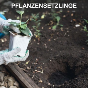 bušač zemlje sa 3 burgije EB2000 Scheppach - Img 8
