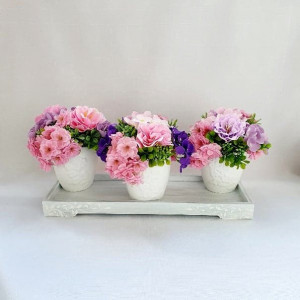 flori de cires si anemone de sapun 7