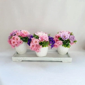 flori de cires si anemone de sapun 7