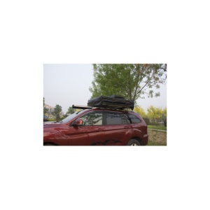 Cort auto impermeabil pentru 2 persoane, prindere pe plafon cu plaforma si scara Cod: DISMM30 - Img 2