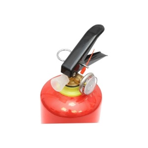 Stingator auto reincarcabil 1kg P1 cu manometru Cod: DISFA58 - Img 2