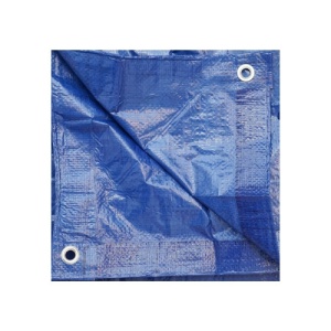 Prelata cu ochiuri de prindere 80g/m2 albastra 4mx6m Cod: BK89403 - Img 2