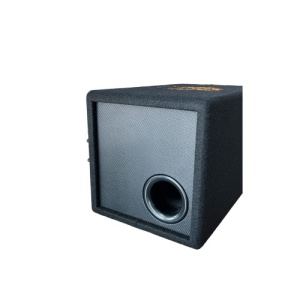 Subwoofer cu amplificator inclus 10" Cod:1029 - Img 2