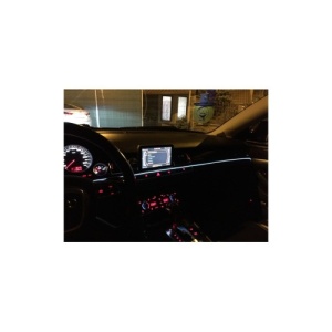 Fir cu neon PREMIUM 12V lungime 1 metru Cod: ELW-1M - Img 4