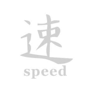 Abtibild "SPEED" diverse culori Cod: DZ-24 - Img 2