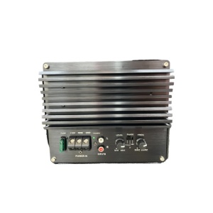 Subwoofer cu amplificator inclus 10" Cod:903 - Img 2