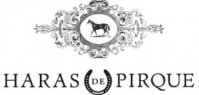 Haras de Pirque