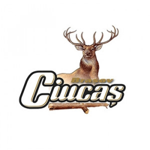 Ciucaş