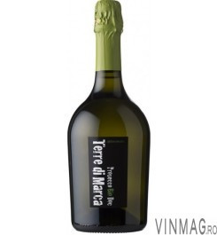 VIN S TERRE DI MARCA PROS EX DRY 1.5L