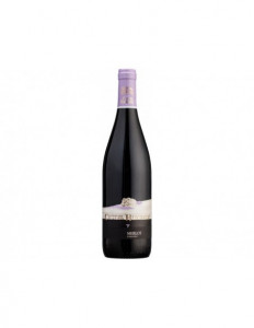 VIN CASTEL HUNIADE MERLOT DS - SGR