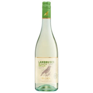 CIV&CIV LAMBRUSCO BIANCO 0.75L 7.5% - SGR