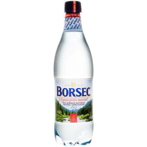 APA BORSEC 0.5L MINERALA