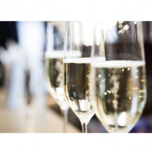 VIN S TERRE DI MARCA PROS EX DRY 0.75L - Img 4