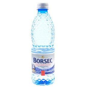 APA BORSEC 0.5L PLATA