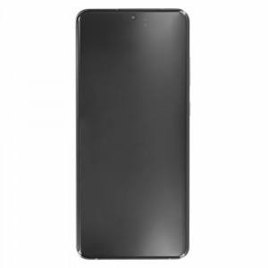 Ecran cu Touchscreen si Rama Compatibil cu Samsung Galaxy S21 Ultra 5G (SM-G998B) - Samsung (16307) - Phantom Silver