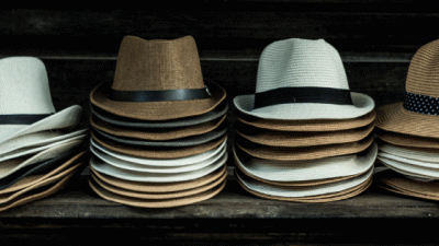 Palaria Panama – Simbol de stil și sustenabilitate