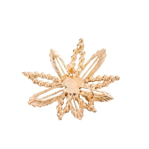 Brosa eleganta Golden Star cu cristale, 4, ibucork.ro