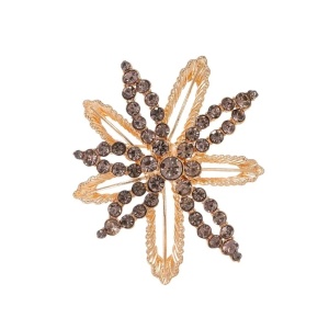 Brosa eleganta Golden Star cu cristale, 1, ibucork.ro