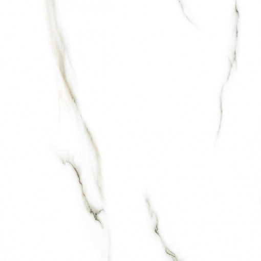 Gresie portelanata, rectificata, 1031 60x60 cm, lucioasa