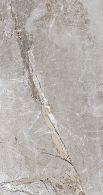 Gresie portelanata, rectificata, Mocha Grey 60x120 cm, High glossy