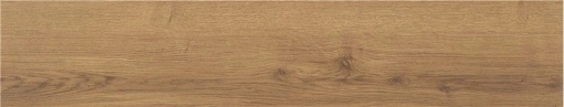 Gresie Alaplana Concorde Natural rectificata mata 23x120 cm