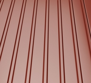 RAL 3009