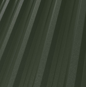 RAL 6020