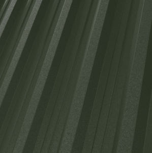 RAL 6020