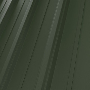RAL 6020