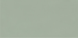 Faianta Paradyz Neve Creative 9.8x19.8 cm, green