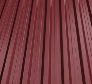 RAL 3005