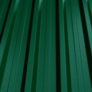 RAL 6005
