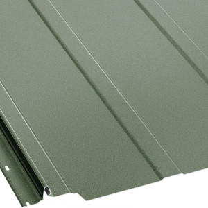 RAL 6020