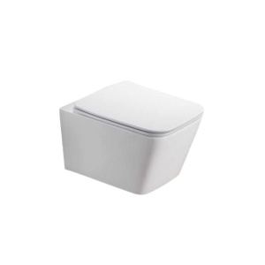 Set vas wc rimless suspendat, dreptunghiular, capac softclose inclus, alb lucios, Foglia Safari - Img 2