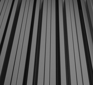 RAL 9005