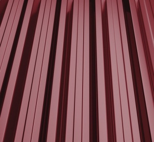 RAL 3005