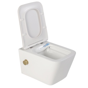 Vas wc suspendat cu functie bideu, dreptunghiular, apa calda rece, rimless, baterie auriu mat Foglia Safari