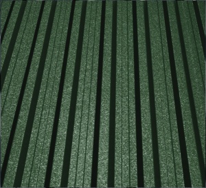 RAL 6005