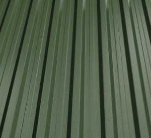 RAL 6020