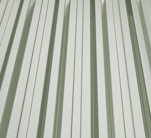 RAL 9006