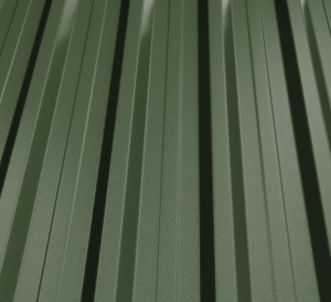 RAL 6020